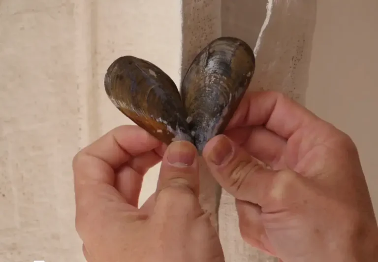 Manos sosteniendo figura en forma de hoja